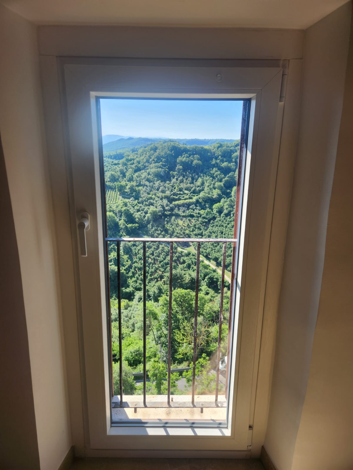 Kitchen View